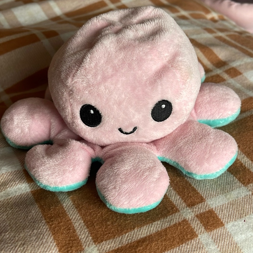 Cute & adorable Reversible sad and happy octopus